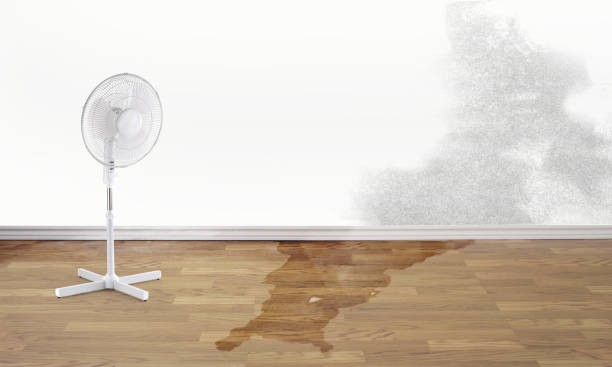 Best Fire Damage Restoration  in Buchanan, GA