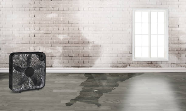 Sewage cleanup and water damage restoration in Buchanan, GA