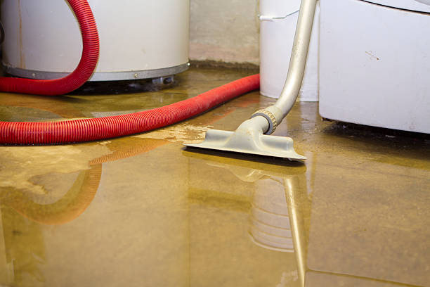 Best Water damage restoration near me  in Buchanan, GA