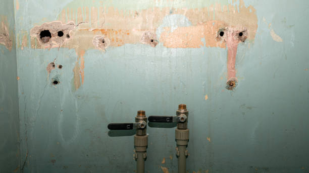 Best Water damage restoration near me  in Buchanan, GA