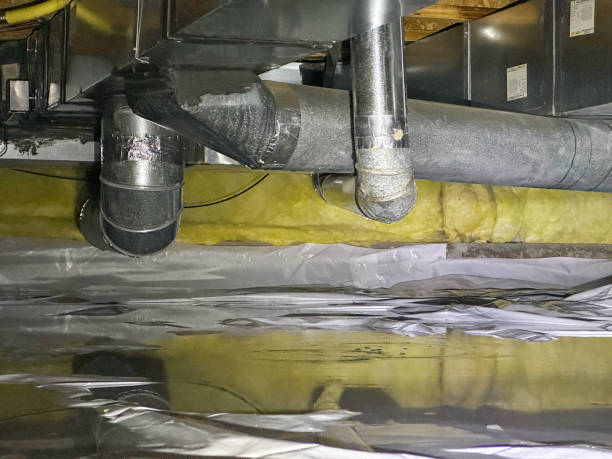 Best Flood restoration services  in Buchanan, GA